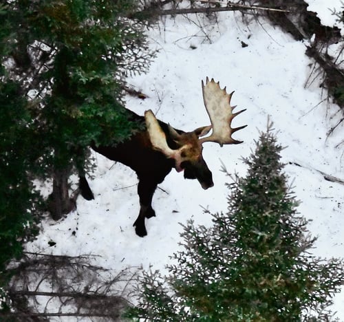 2021 winter top gun_RGB