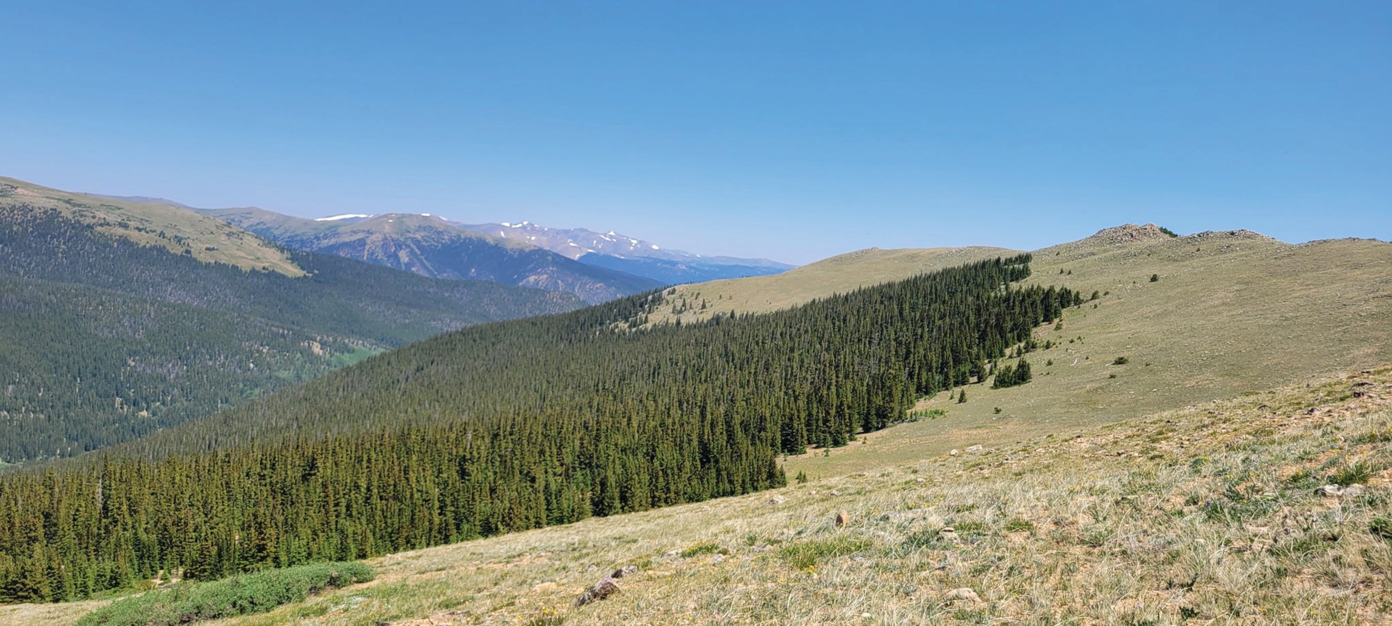 6445833588650203808_CMYK