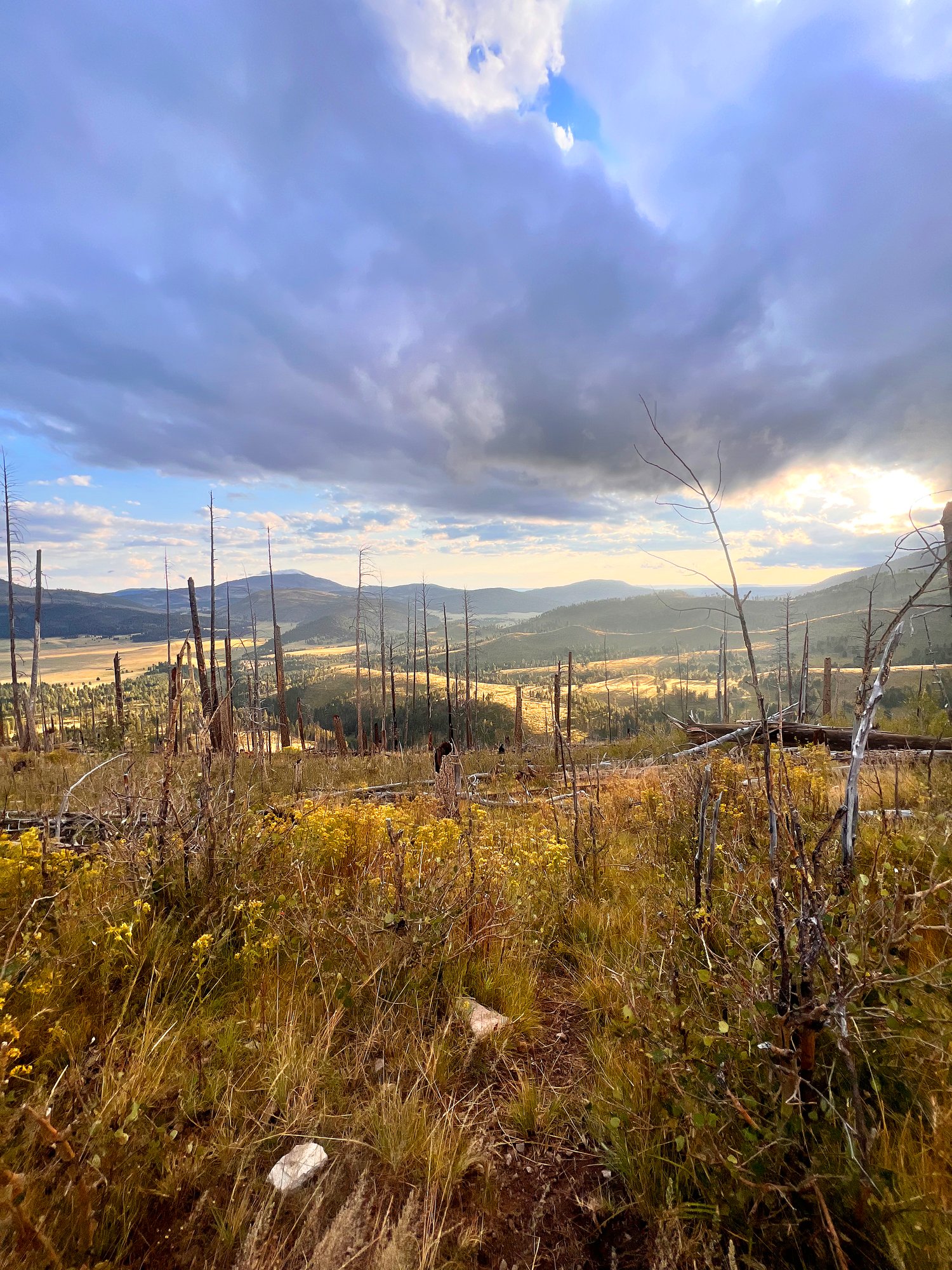 6D680F6C-3D68-4785-ACB6-16129E5C53B8_RGB-1