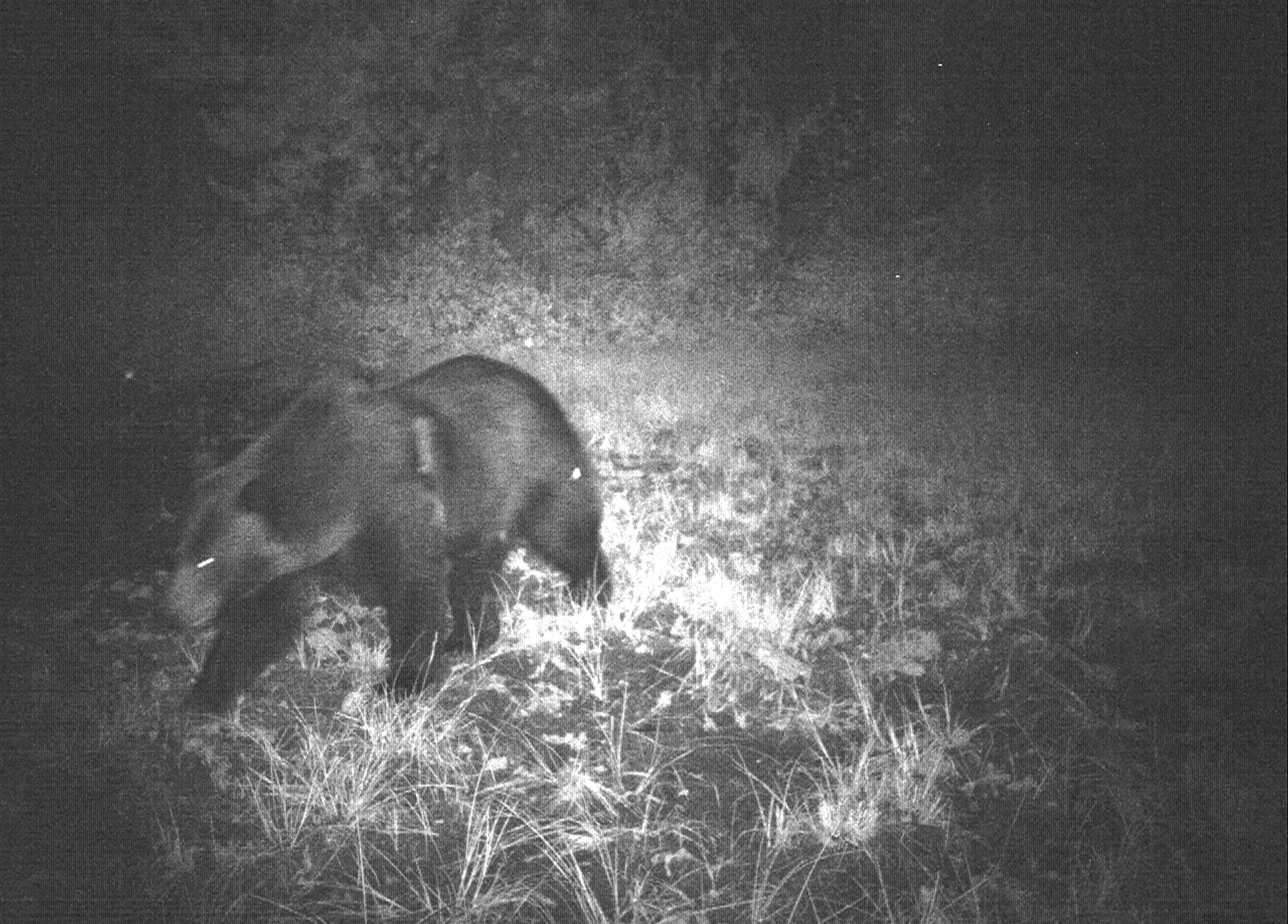 8-25-10 23.14.59_RGB