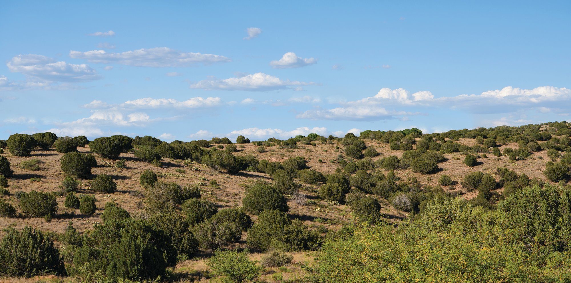 AZ_Background_159235100_CMYK