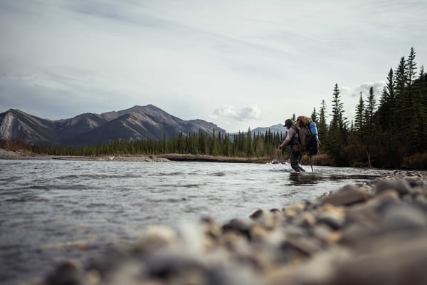 DSC01556-600x400-bf06395