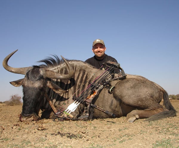 Blue Wildebeest- Africa- 2006
