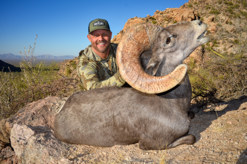 Mexico_Desert Sheep_2025-3 1