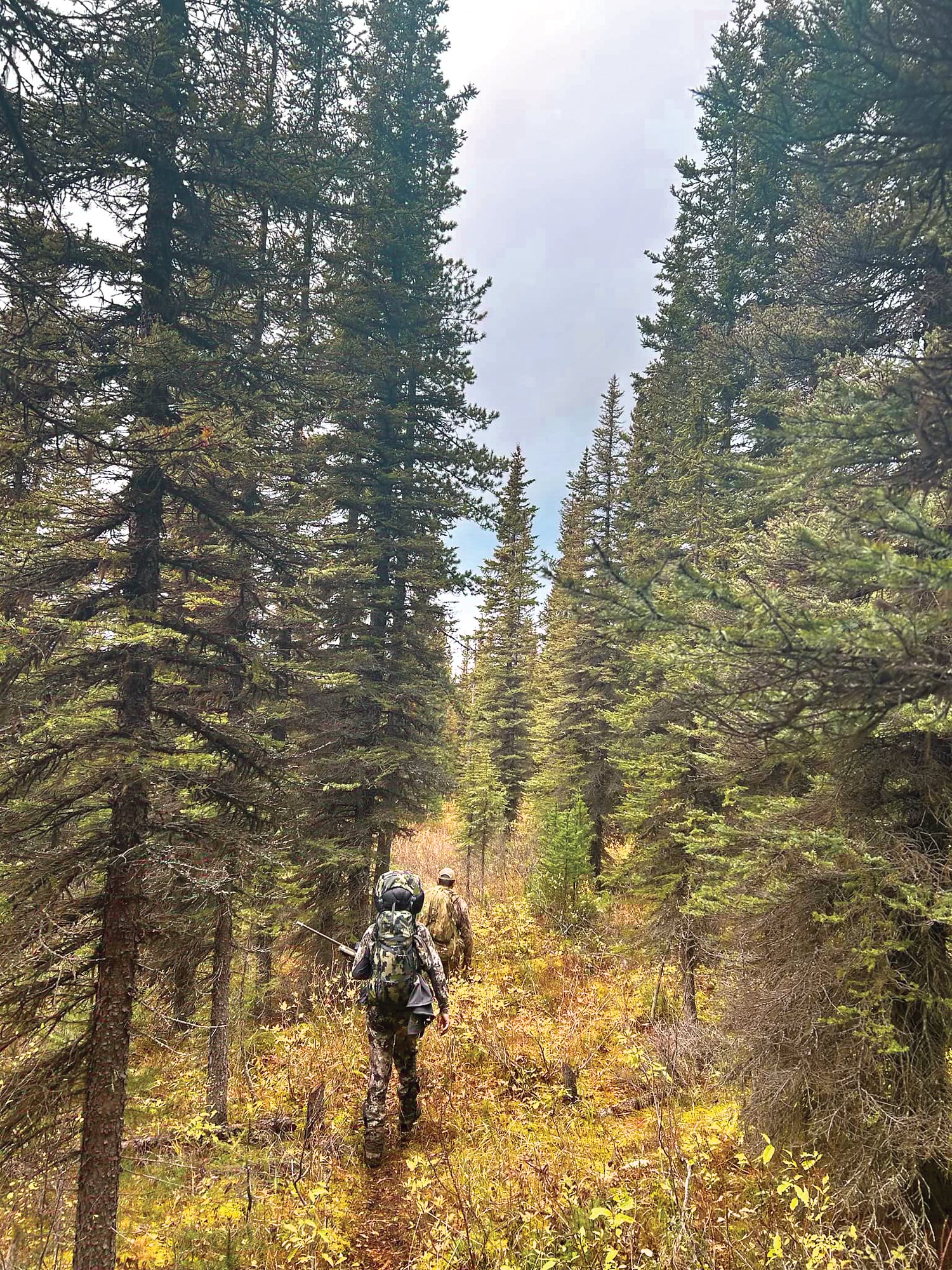 Messenger_creation_548911D2-CAB3-4B30-937C-ACE4B0B2DE86_CMYK