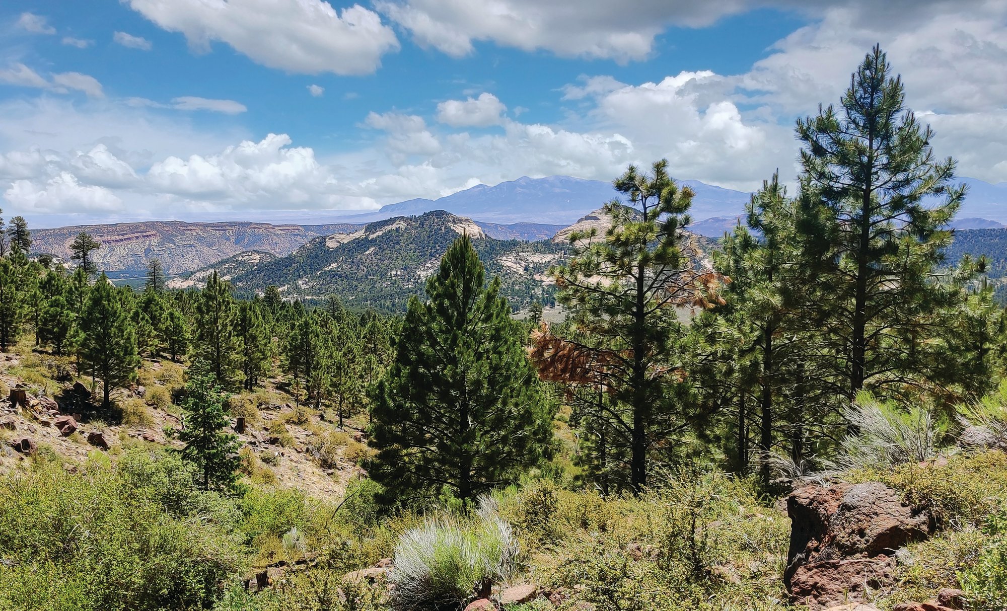 UT Scenic_398863133 (2)_CMYK