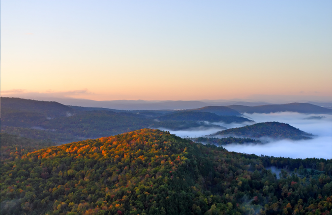 Vermont Moose Hunting