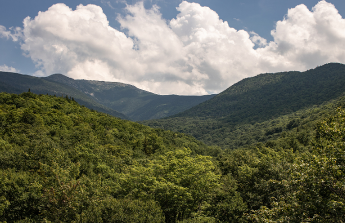 New Hampshire Moose Hunting