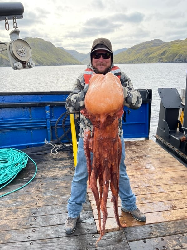 0EBF17E2-A834-48B8-83D3-55C81902B51E_1_105_c