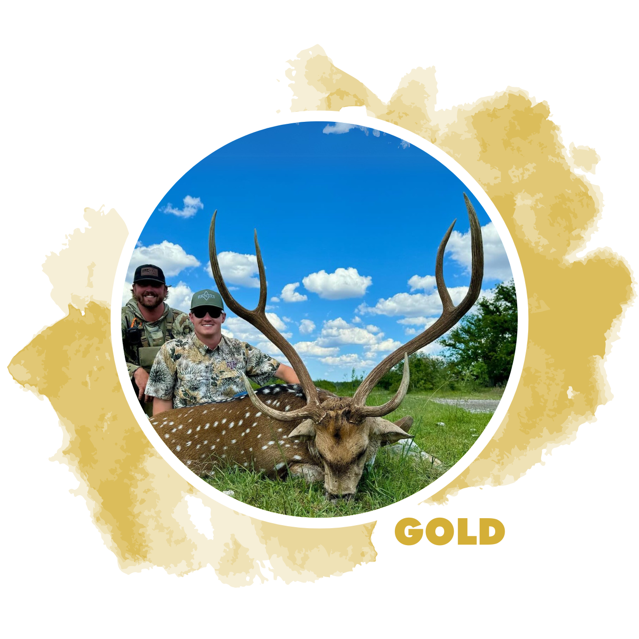 2026 Texas Free-Range Axis Deer Hunt for 2