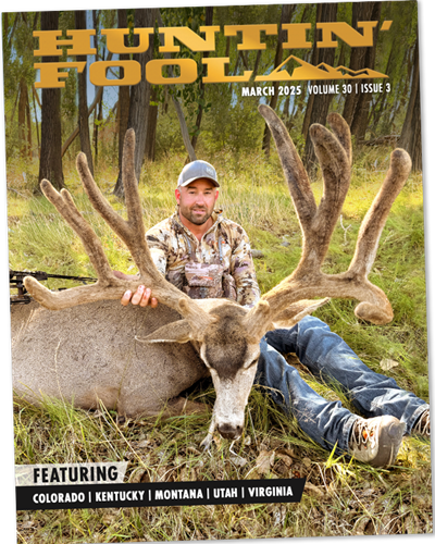 EMagazine173w400h500