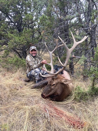 WY Elk 2024