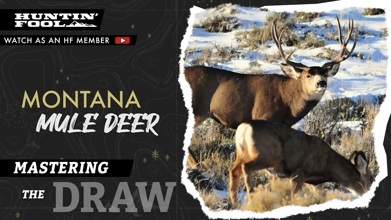 Montana Mule Deer Hunting