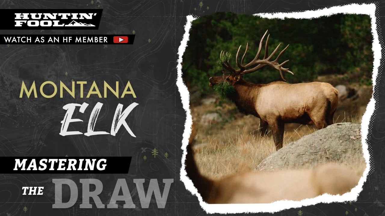 Montana Elk Hunting