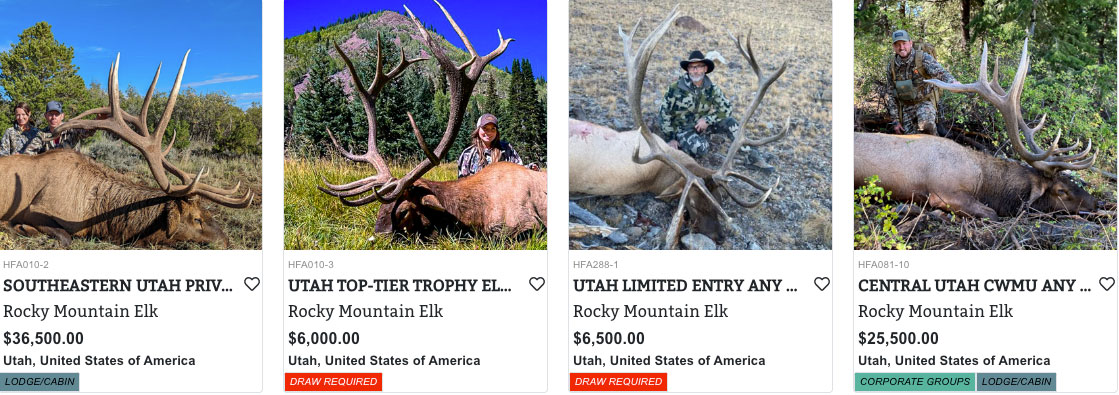 Utah Elk Hunting