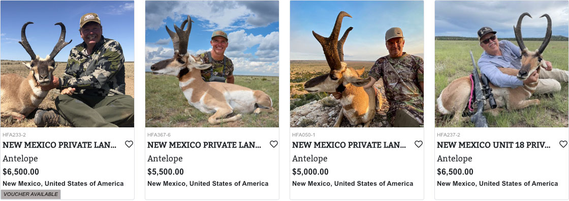 New Mexico Antelope Hunting
