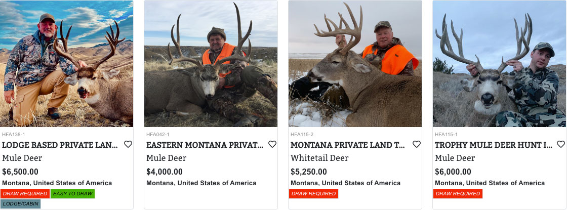 Montana Mule Deer Hunting