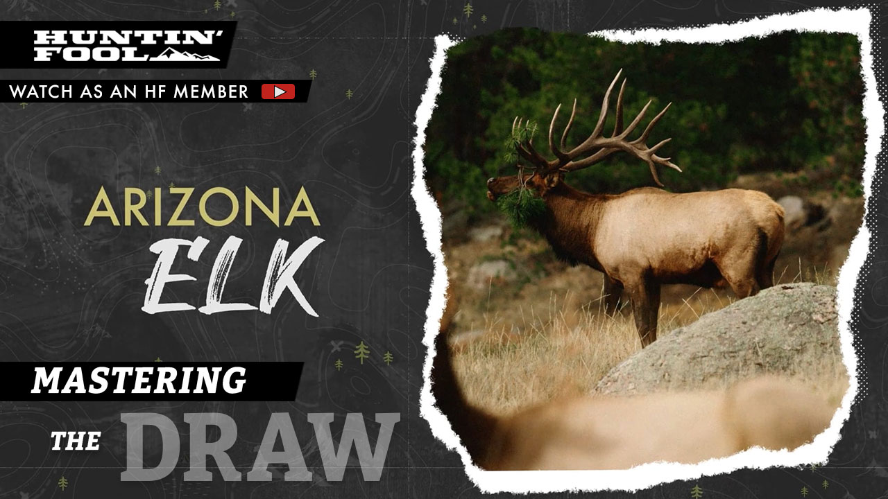 Arizona Applications