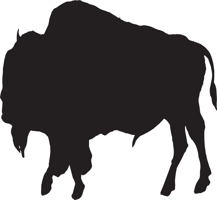 Utah Bison