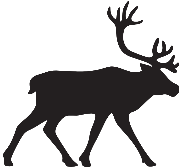 Caribou
