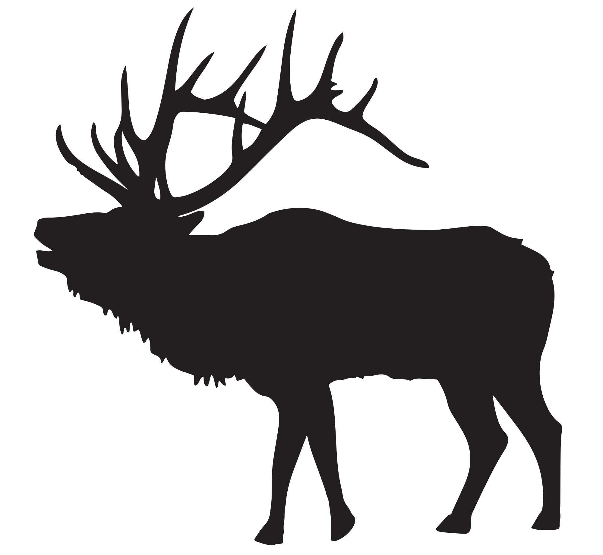 Elk