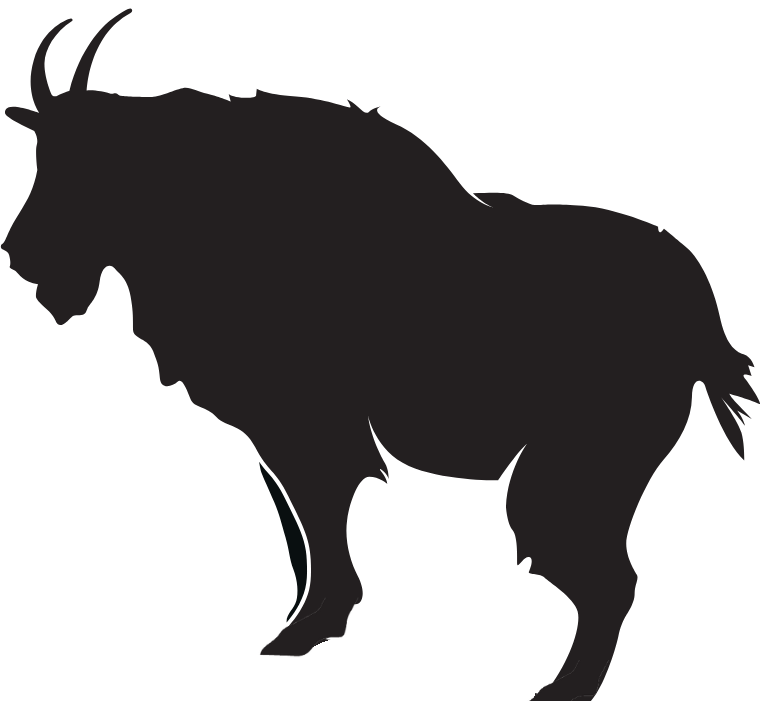 Oregon Mountain Goat